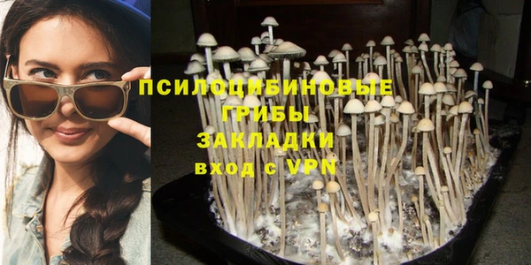 бошки Бородино