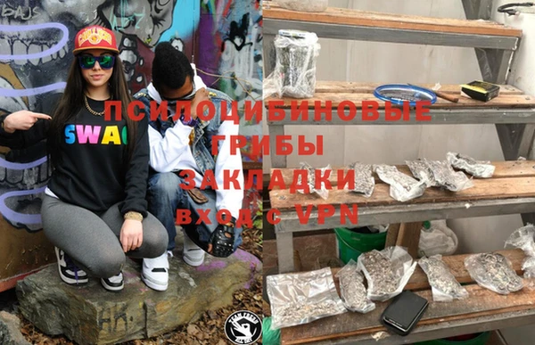 бошки Бородино