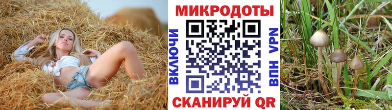 купить наркотики сайты  Можайск  Псилоцибиновые грибы ЛСД 